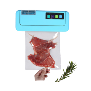 Machine d'emballage sous vide semi-automatique R-PACK pour usage domestique, 110V, pour la conservation des aliments - Product Image 1