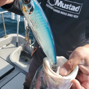 Anzuelos triples de pesca MUSTAD JAWLOK <span class=keywords><strong>3X</strong></span> 4X <span class=keywords><strong>5X</strong></span> plateados para pesca en agua salada, acero con alto contenido de carbono JL73NP JL74NP JL75NP - Product Image 6