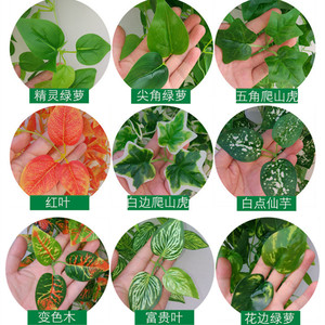 Artificial Pothos Vines Plastic Green <b>Leaves</b> Hanging Plant <b>Wall</b> <b>Decor</b> Home <b>Decor</b> One Meter Water Resistant - Product Image 5