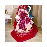 Hot Selling 100% Polyester Custom Nerz Bettwäsche Set Neues Design Modische Muster Raschel Decke 2-7kg Abdeckung