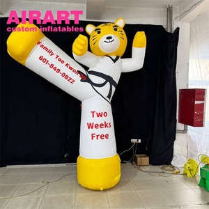 Grande Mascotte Gonfiabile a Forma di Tigre per Promozioni di Scuole di Arti Marziali - Product Image 5