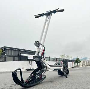 ใหม่มาถึง 54.6V 2500W 3-in-1 ไฟฟ้าสกู๊ตเตอร์หิมะ E-Scooter 20.8Ah/30Ah แบตเตอรี่แบบถอดได้ - สเก็ตและสกีไฟฟ้าสกู๊ตเตอร์