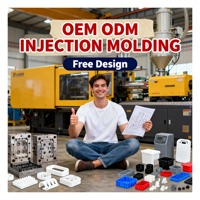 Molde de Inyección de Plástico Personalizado para Accesorios de Plástico ABS para la Industria Automotriz, Fabricación de Moldes OEM de PTFE y PVC, Precio de Molde de Plástico