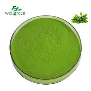 OEM Halal Hữu Cơ tan trong nước trà xanh ngay lập tức cấp thực phẩm tinh khiết Matcha bột