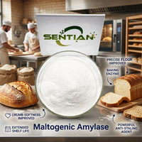 Poudre d'enzyme amylase maltogénique de qualité alimentaire 1 000 000 U/g, agent anti-âge pour le pain, prolongateur de durée de conservation