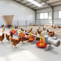 Système automatique d'alimentation et d'abreuvement en plastique pour volailles, élevage au sol, poulets de chair, poules reproductrices, état neuf