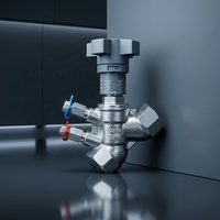 Vanne de régulation double en acier inoxydable DN20 avec bouchons de test