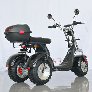 Entrepôt de l'UE CEE COC moto tricycle électrique <span class=keywords><strong>trois</strong></span> roues 4000W tricycle longue portée <span class=keywords><strong>scooter</strong></span> électrique tricycle - Product Image 1