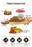 Makanan Kucing OEM Rasa Daging Sapi Kaya Protein Alami Bentuk Bintang Formula Sains Bebas Biji-bijian untuk Kesehatan Pencernaan Makanan Kering