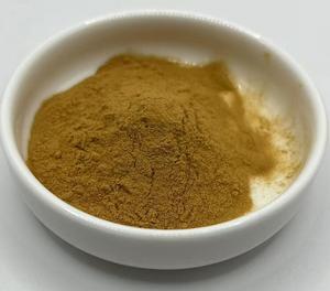Экстракт натурального астрагала Membranaceus 10%, экстракт корня астрагала, порошок, Cas 78574-94-4 - Product Image 4