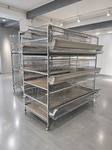 Sistema de Jaulas Comerciales <span class=keywords><strong>para</strong></span> Aves de Corral con Comedero y <span class=keywords><strong>Bebedero</strong></span> <span class=keywords><strong>para</strong></span> Granjas de Gallinas Ponedoras - Product Image 4