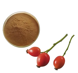 10:1 naturale estratto di erbe spinose rosa frutta e rosa canina in polvere - Product Image 2