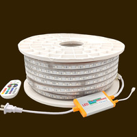 Ruban LED RGB Étanche IP65 5050, 16 Couleurs, 220V/110V, avec Télécommande pour Éclairage de Corde RGB d'Entrepôt