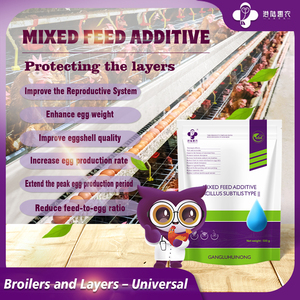 Forraje para pollo Alimento fermentado para pollos Premezcla de crecimiento rápido para animales Aves de Corral Alimentación para pollos - Product Image 5