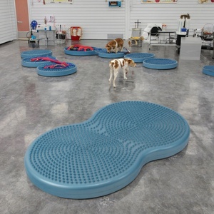 USMILEPET Direct Factory – Outil d'entraînement d'agilité pour chien, Twindisc en PC/PVC, pour rééducation, exercice et équilibre physique - Product Image 4