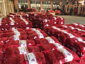 Approvisionnement d'usine de châtaignes chinoises fraîches pelées et rôties de marque Sinofarm en provenance de Chine <span class=keywords><strong>au</strong></span> <span class=keywords><strong>prix</strong></span> de gros pour importation - Product Image 6