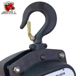 Ambull nhà máy ODM OEM 2 tấn 3 tấn <span class=keywords><strong>20</strong></span> tấn quan trọng chuỗi khối quan trọng Hướng dẫn sử dụng chuỗi khối Palăng với công nghệ xử lý chính xác - Product Image 2