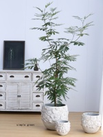 Pot Bunga Semen Gaya Wabi-Sabi Nordik, Model Lantai, Diameter Besar, Desain Bernapas, untuk Tanaman Hijau dan Bunga di Ruang Tamu