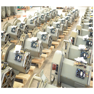 <span class=keywords><strong>Rotor</strong></span> principal de la tête du générateur <span class=keywords><strong>alternateur</strong></span> Stamford - Product Image 6