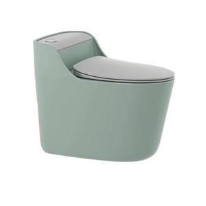 Inodoro Personalizado de Color Económico CHANDA, Descarga Manual, Acabado Mate - Product Image 3