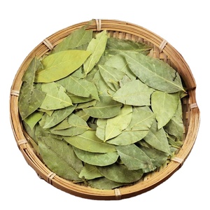 Feuilles <span class=keywords><strong>de</strong></span> <span class=keywords><strong>Laurier</strong></span> Séchées Premium Entières, Sélectionées à la Main, Couleur Verte, Riches en Huiles Essentielles, Herbes Aromatiques pour l'Exportation en Gros ZZH - Product Image 1