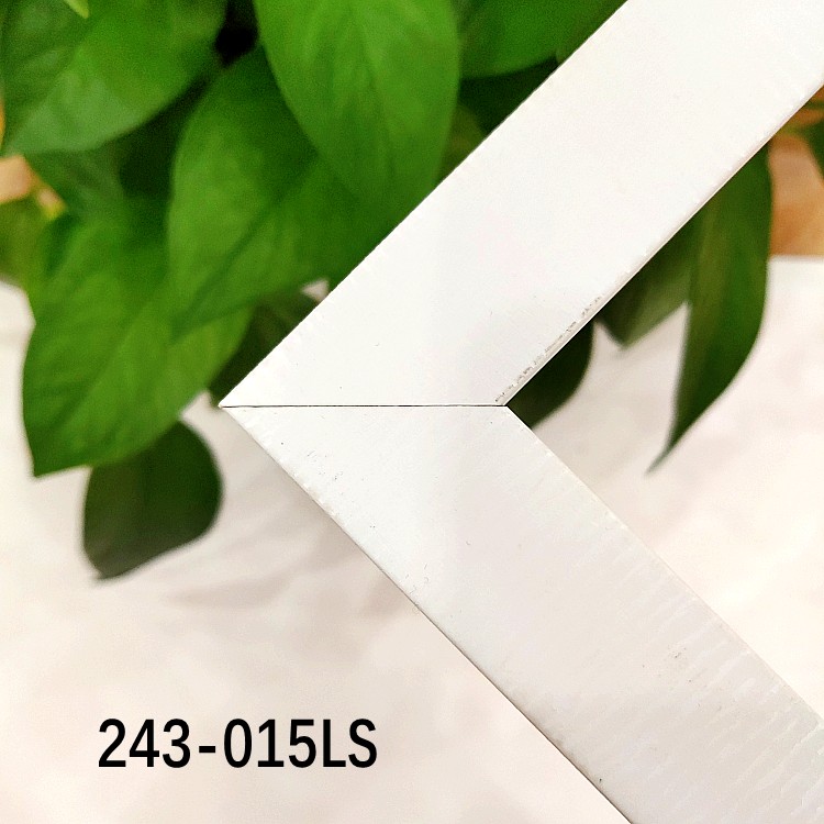 243-015LS