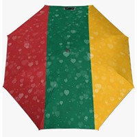 Parapluie pliant entièrement automatique de haute qualité, classique, à motif drapeau du Luxembourg, série à thème national, idéal pour un usage quotidien et économique