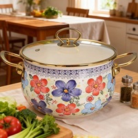 Marmite à soupe et ragoût en émail à double anse avec couvercle en verre épaissi et bord doré, 20/22/24 cm, pour cuisson à induction - Vente en gros