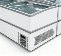 Congelador Comercial Combinado de Una Sola Temperatura, Usado, Directo de Fábrica, con Control Digital de Temperatura, Gran Capacidad y Pantalla