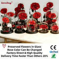 Lovebay Valentijnsdag Moederdag Cadeau Ge conserveerde Bloemen in Hoekvormig Glas met Licht Natuurlijke Eeuwig Ge conserveerde Rozen in Glas