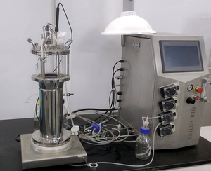 Equipo de laboratorio de alta calidad estándar de la UE, biorreactor de aminoácidos Airlift, sistema de fermentación de enzimas, recipiente a presión - Product Image 3