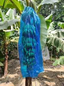 Housse en plastique non tissé PP écologique réutilisable pour protéger les fruits, les bananes, les tomates, les plantes de jardin d'hiver - Product Image 4