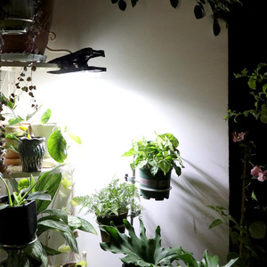 Solar Garden <b>Light</b> <b>Wall</b> Mount Led With Motion Sensor Waterproof Outdoor Solar Powered 12V Mono Si <b>Battery</b> Included - Product Image 1