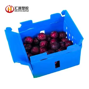 Hot Sales Custom Waterproof Strong Durable Recycle PP Plastic Corflute Packaging Fruit Box