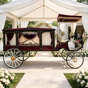 Chariot funéraire royal ZOWN détachable pour transport facile en conteneur maritime - Product Image 1