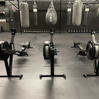 Máquina de Remo YG Fitness YG-R004 de Gran Venta Equipo de Gimnasio Máquina de Remo de Aire Máquina de Remo Sentado