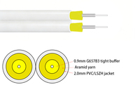 Câbles à fibre optique monomodes octogonaux à double cœur de 2,0-3,0 mm pour intérieur, avec options multi-cœurs, vente en gros en Chine