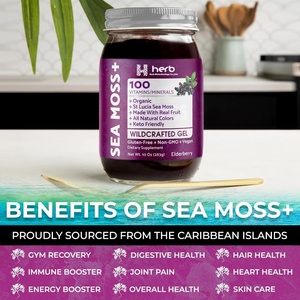 Gel de Musgo Marino de Marca Privada OEM/ODM, Suplementos Orgánicos con Sabor para el Apoyo Inmunológico y Digestivo para Adultos, Vitaminas y Minerales Complejos - Product Image 4