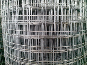 רשת תיל מרותך מגולוון באיכות גבוהה עם חורים מרובעים עבור שימוש תעשייתי וחקלאות - Product Image 5