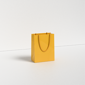Custom Branded Luxury Art Paper <b>Gift</b> <b>Bags</b> for Shoes & Socks with Recyclable Cotton Rope Handle Gold Stamp Printing Custom Logo - Product Image 3