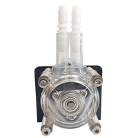 Pompe péristaltique à grand débit 500 ml/min, best-seller, installation facile, pompe péristaltique 12V/24V, pompe doseuse, pompe à vide