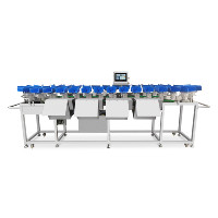 Voedselproductielijn Citroen Appel Tomaat Sorteermachine Nauwkeurig Fruit Sorteersysteem