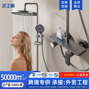 Minimalist Bathroom Shower Set Round Top Spray With Brushed Finish Easy To Install Factory Wholesale - Product Image 5