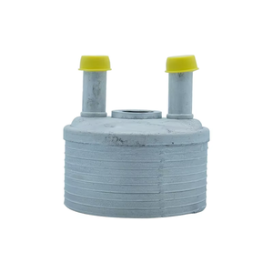 Nuovo Radiatore per Cambio Automatico Motore, Ricambio per FAW Pentium B50 OE 32910-TFA020 - Product Image 1