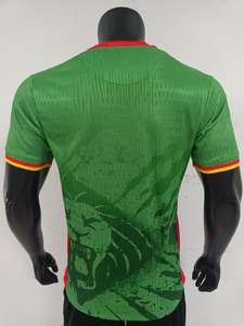 Maglie della Nazionale di Calcio del Camerun per la Coppa del Mondo, 100% Fibra di Poliestere, Asciugatura Rapida, Traspiranti, Stampa a Trasferimento Termico - Product Image 2