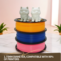 Filamen MakePlanet PLA+ 1KG untuk Pencetakan 3D Warna Transparan Berkualitas Tinggi Diameter 1.75mm 200C Mendukung OEM/ODM Moulding