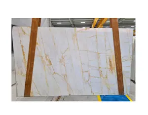 Modern Golden Bianco Dolomite Marble for Stair Riser Countertop Floor Wall Panel Slab Tile