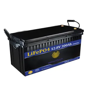 12V 300AH LiFePO4 Deep Cycle Battery Up to 6000+ Cycle Built-in BMS, Rechargeable Battery