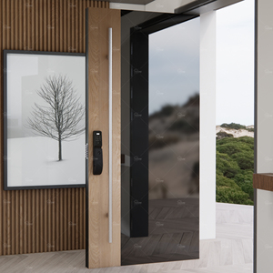 Portes en acier modernes pour villa, design italien dernier cri, portes d'entrée principales en acier inoxydable haute brillance - Product Image 5