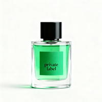 Parfum en gros, rebranding de cosmétiques, parfum frais, 100 ml, eau de parfum en spray, parfum longue durée, unisexe, emballage personnalisé avec logo